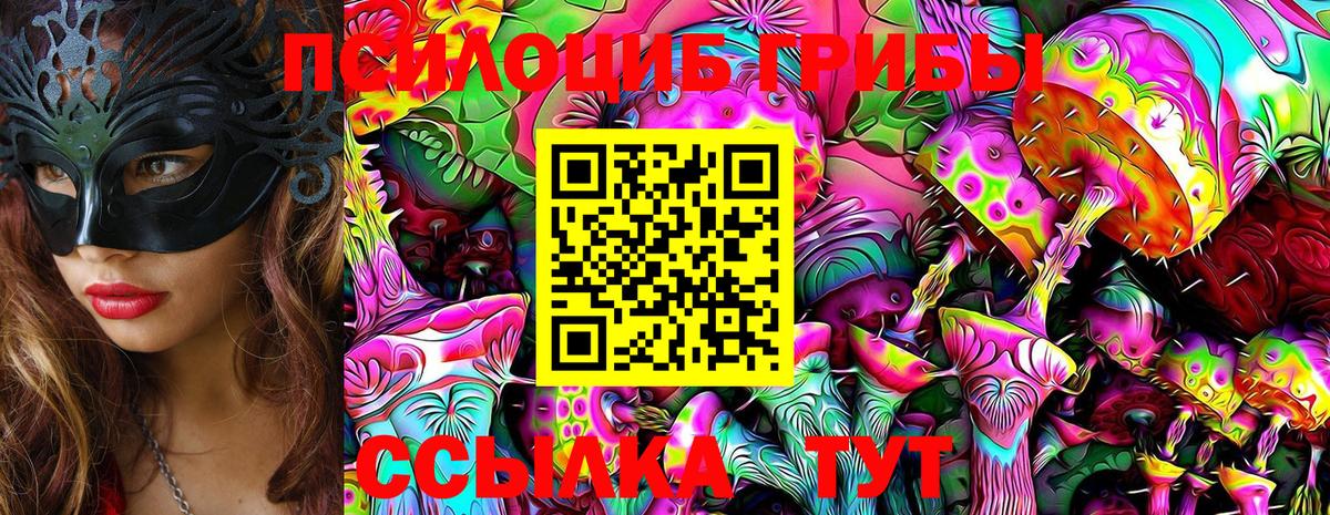 Псилоцибиновые грибы Cubensis  Вход с VPN  Сатка 